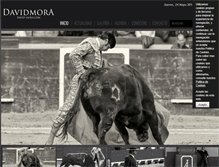 Tablet Screenshot of david-mora.com
